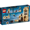 LEGO® Harry Potter TM 76395 Roxfort™: první hodina létání