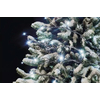 CNT -  Božićni svjetlosni vijenac,  5M 50LED IP44  hladno svijetlo