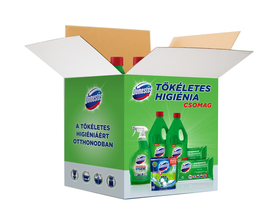 Domestos Pine Hygiene-Paket