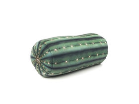 Kikkerland jastuk, uzorak kaktusa