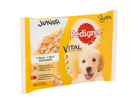 Pedigree 4-pack Junior alutasakos kutyaeledel, csirke&rizs/marha&rizs, 4x100g