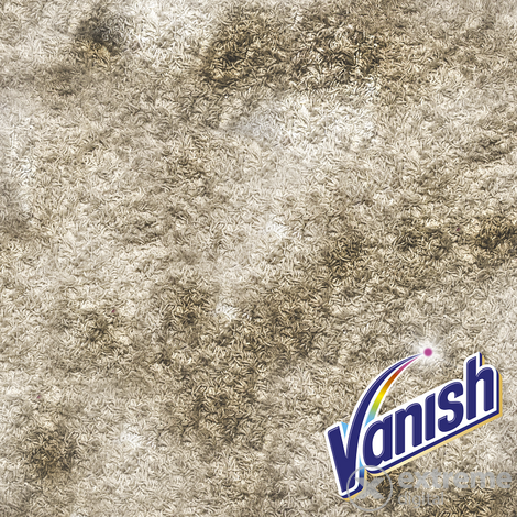 Vanish Shake&Clean Powerpowder prašak za čišćenje tepiha (650g)